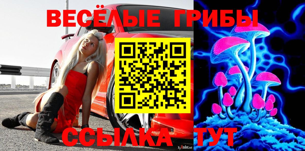 Псилоцибиновые грибы мицелий  купить наркотики цена  Галлюциногенные грибы MAGIC MUSHROOMS  Пятигорск  Вход с VPN 