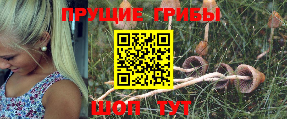 Псилоцибиновые грибы мухоморы Пятигорск